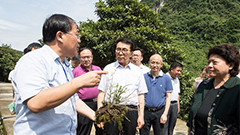 吉林中科天使創業投資基金